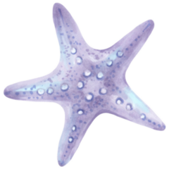 Five Pointed Starfish Sticker