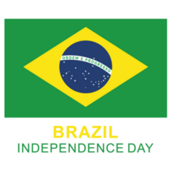 Flag Of Brazil Country Independence Day Sticker