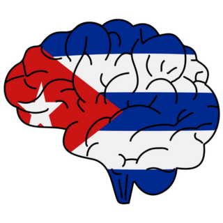 Flag Of Cuba Brain Sticker