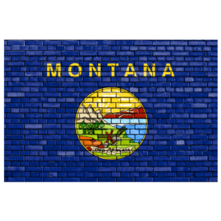 Flag Of Montana, Usa Painted On Brick Wall Sticker
