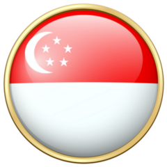 Flag Of Singapore Circle Icon Sticker
