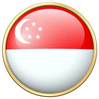 Flag Of Singapore Circle Icon Sticker