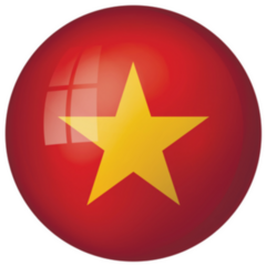 Flag Of Vietnam Ball Sticker