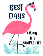 Flamingo  Best Days Enjoy The Simple Life Sticker