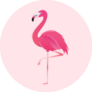 Flamingo Bird Illustration On Pink Sticker
