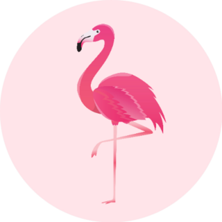 Flamingo Bird Illustration On Pink Sticker