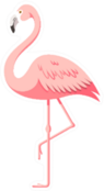 Flamingo Illustration Sticker