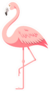 Flamingo Illustration Sticker