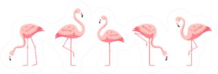 Flamingo Set Sticker