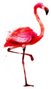 Flamingo Watercolor Sticker