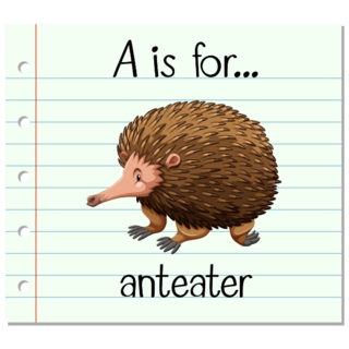 Flashcard Letter A For Anteater Sticker