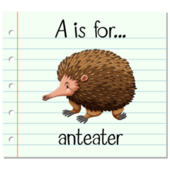 Flashcard Letter A For Anteater Sticker