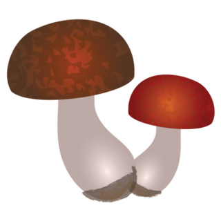 Flat Art Mushrooms With Round Red Caps Illustration Sticker