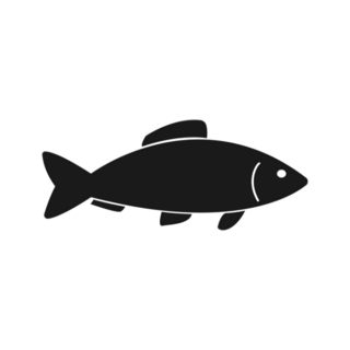 Flat Basic Simple Fish Transfer Sticker