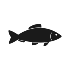 Flat Basic Simple Fish Transfer Sticker
