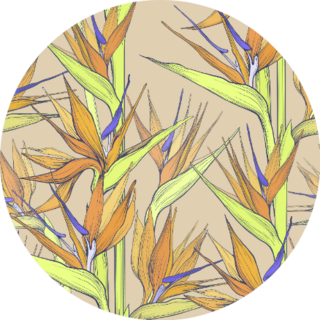 Flat Beautiful Bird Of Paradise Flower Pattern Sticker