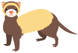 Flat Ferret Illustration Sticker