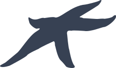 Flat Starfish Sticker