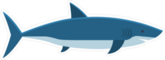 Flat Style Shark Sticker