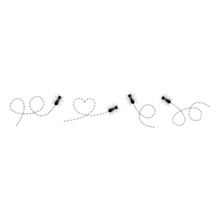 Flies Icon Set Sticker