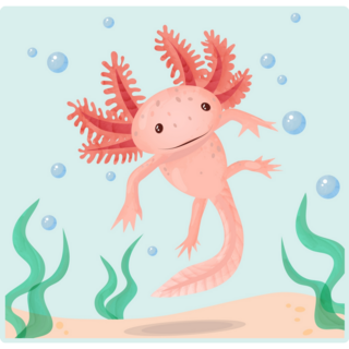 Floating Pink Axolotl Sticker