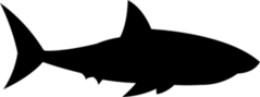 Floating Shark Silhouette Sticker