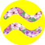 Floral Aquarius Zodiac Sign Sticker 