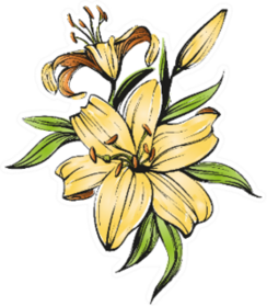 Floral Blooming Lilies Illustration Sketch Sticker