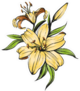 Floral Blooming Lilies Illustration Sketch Sticker