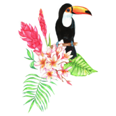 Floral Bouquet With A Big Toucan Bird Sticker