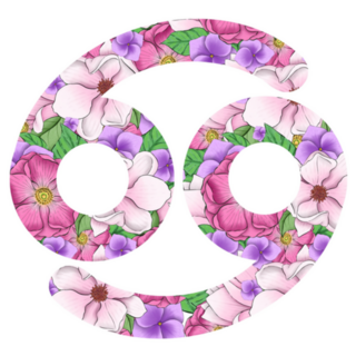 Floral Cancer Zodiac Sign Sticker