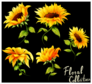 Floral Collection Sunflower Sticker