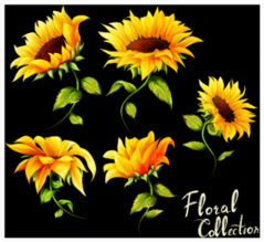 Floral Collection Sunflower Sticker
