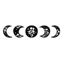 Floral Moon Phase Doodle Sticker