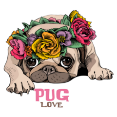 Floral Pug Love Sticker