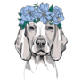 Floral Weimaraner Sticker