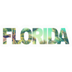 Florida Lettering With Palm Trees Sticker