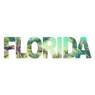 Florida Lettering With Palm Trees Sticker