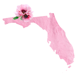 Florida State Pink Fur Sticker