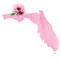 Florida State Pink Fur Sticker