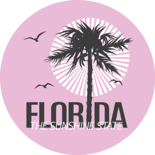 Florida The Sunshine State Palm Illustration Sticker