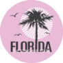Florida The Sunshine State Palm Illustration Sticker