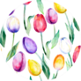 Flower  Background Tulips Over White Sticker