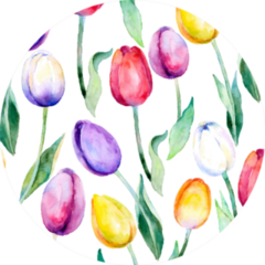 Flower  Background Tulips Over White Sticker