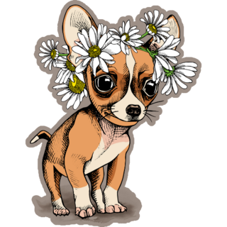 Flower Chihuahua Sticker