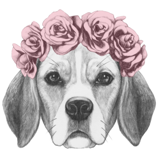 Flower Crown Beagle Sticker