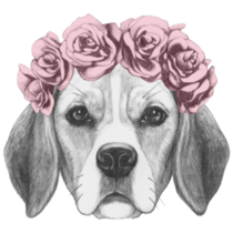 Flower Crown Beagle Sticker