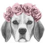 Flower Crown Beagle Sticker