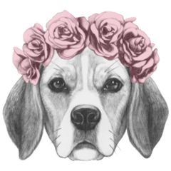 Flower Crown Beagle Sticker