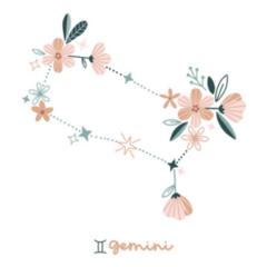 Flower Gemini Zodiac Constellation Sticker
